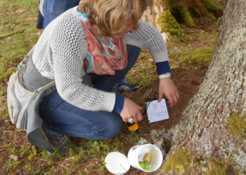 Geocache Schnitzeljagd zu Ostern im Berghotel Lämmerhof im Salzburger Land