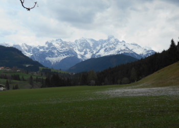 Verschneiter Gosaukamm vom Alengasthof Lämmerhof im Salzburger Land