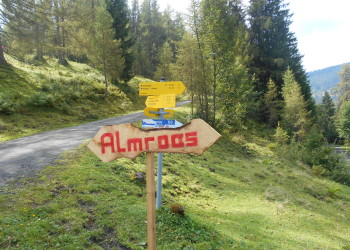 Almroas in St. Martin am Tennengebirge