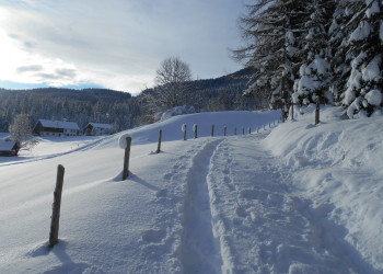 Schneeschuhwanderung zur Spießalm im Lammertal