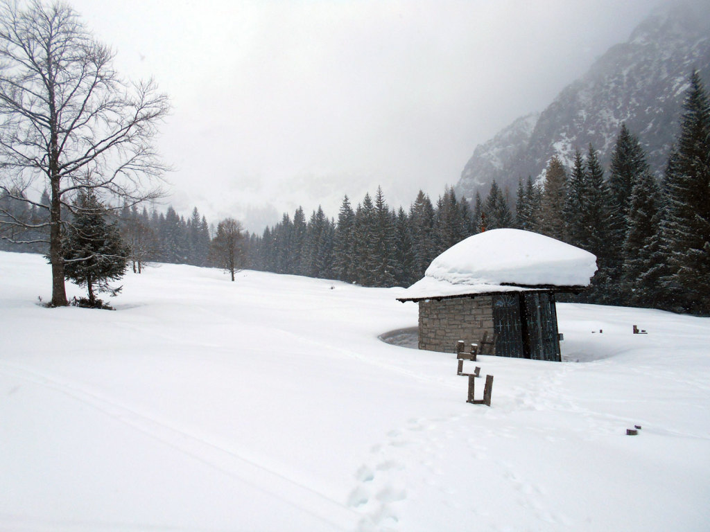 schneeschuhwanderung-aualm-maerz-9